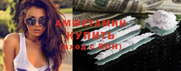 ГАЛЛЮЦИНОГЕННЫЕ ГРИБЫ Инсар