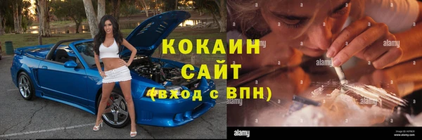 ГАЛЛЮЦИНОГЕННЫЕ ГРИБЫ Инсар