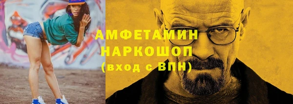 прущие грибы Инта