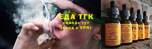 ГАЛЛЮЦИНОГЕННЫЕ ГРИБЫ Инсар