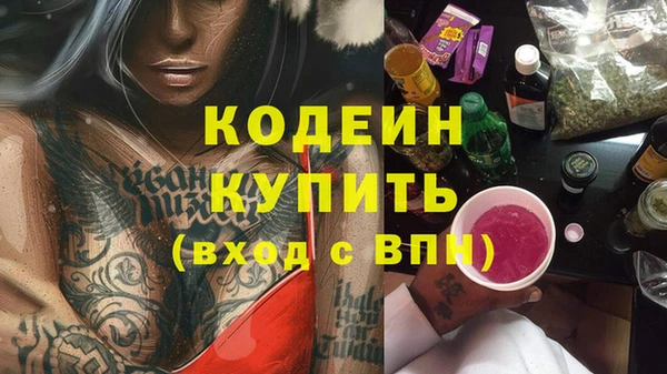 ГАЛЛЮЦИНОГЕННЫЕ ГРИБЫ Инсар