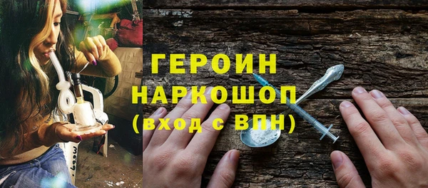 прущие грибы Инта
