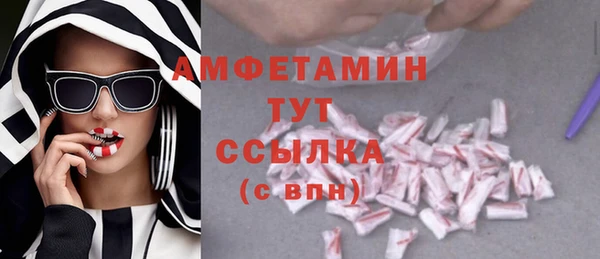 прущие грибы Инта