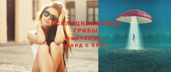 ГАЛЛЮЦИНОГЕННЫЕ ГРИБЫ Инсар