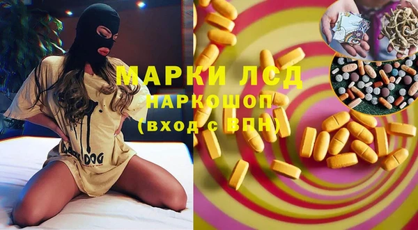 прущие грибы Инта