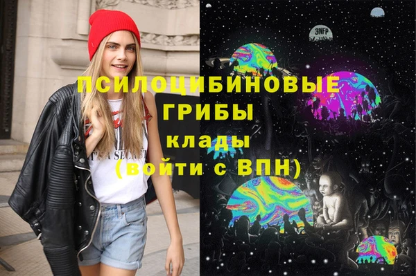 прущие грибы Инта