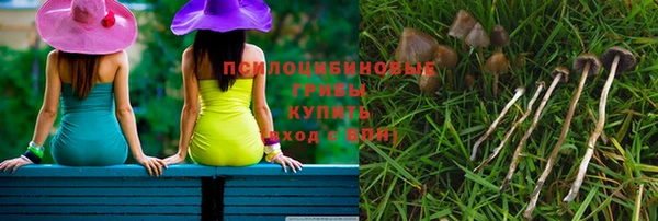 прущие грибы Инта