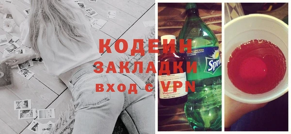 прущие грибы Инта