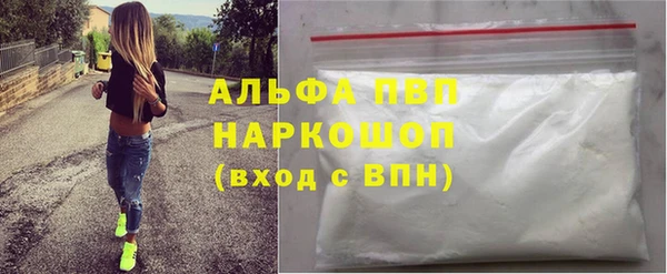 прущие грибы Инта