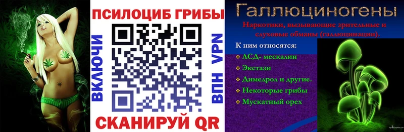 Галлюциногенные грибы Psilocybine cubensis  Купить закладки  Сочи 